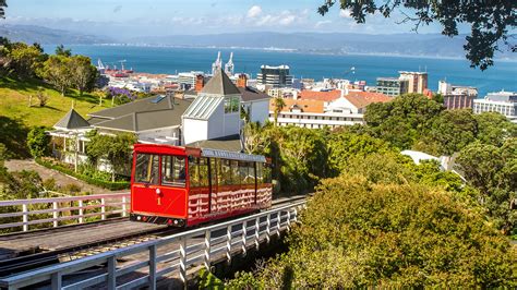 wellington sightseeing tours|THE 10 BEST Wellington City Tours (with Prices) .